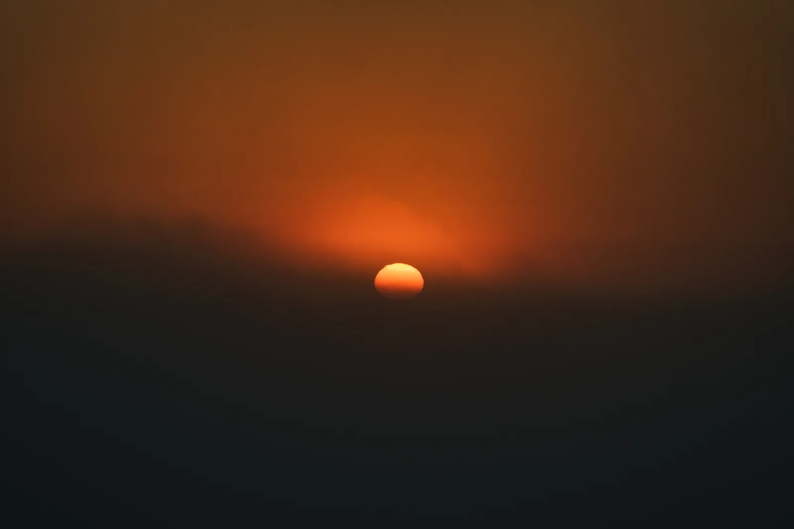 Sol entre neblina costera