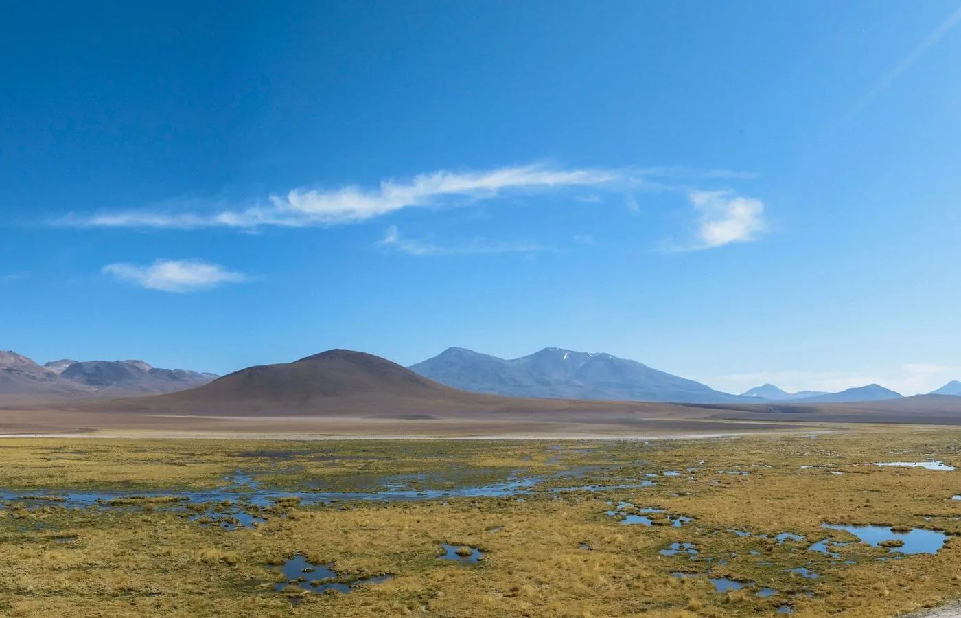 Humedal y cordillera en el altiplano