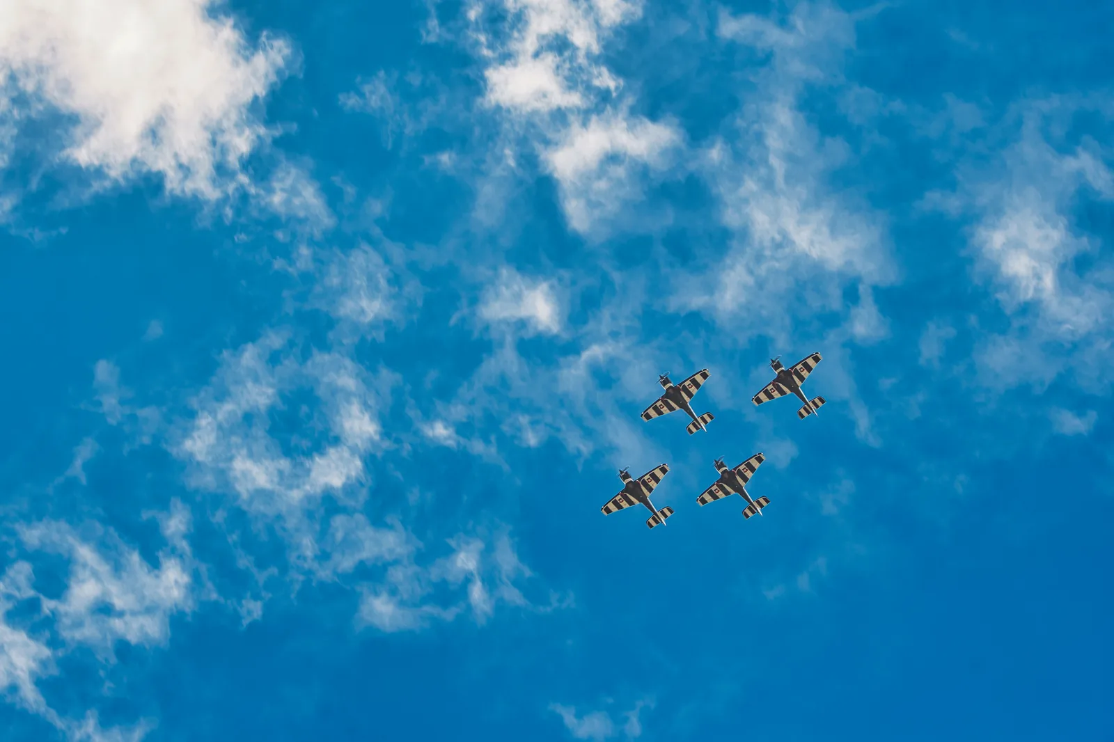 Golondrinas en vuelo contra el cielo